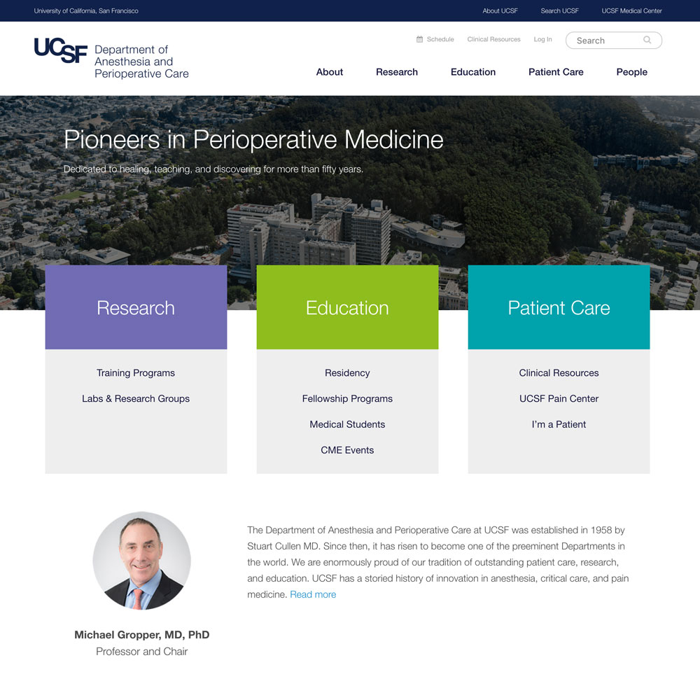 Department of Anesthesia websites screenshot