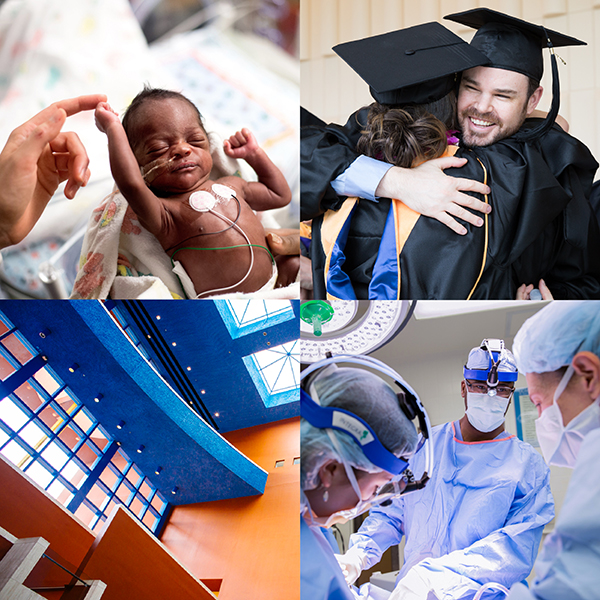 Examples of images in the brand photography library